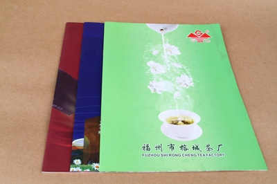 宣傳品設(shè)計(jì)-宣傳畫(huà)冊(cè) 產(chǎn)品畫(huà)冊(cè) 企業(yè)畫(huà)冊(cè) A416P 500本 公司畫(huà)冊(cè) 宣傳冊(cè).