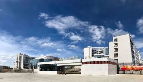 臺商區中考成績不理想怎么辦？經貿咨詢助你規劃新出路