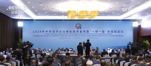 中非攜手，構建多元化經貿合作新格局，為共同繁榮注入強勁動力