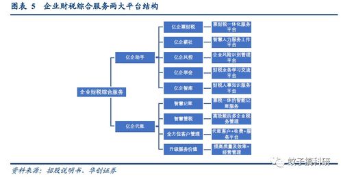 新股丨稅友股份 專注財稅信息化，信息系統集成服務助穩健成長